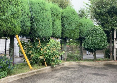 【中庭】 | 東建狭間マンション | 中庭（パティオ）とは、一つの建築物の内部に設けられた、壁などで囲われている庭のことを指します。コの字型、ロの字型が主流ですが、L字型の中庭もあります。最近では、インテリア性の高さからも人気があります。