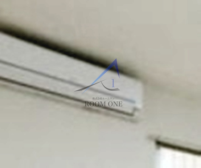 はうすこぐまのその他