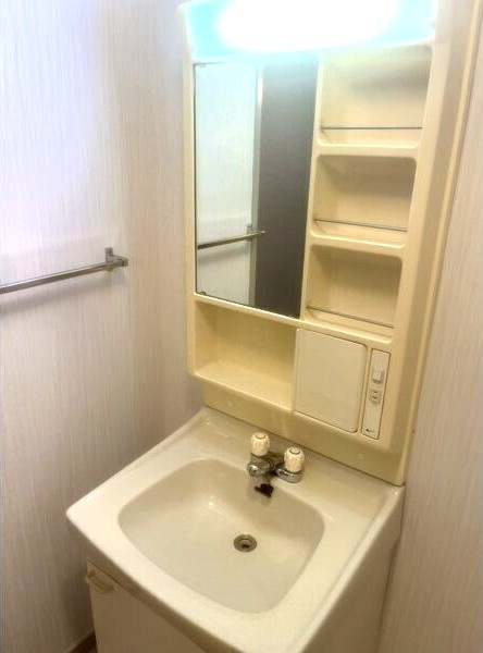 メゾンロアールの洗面所