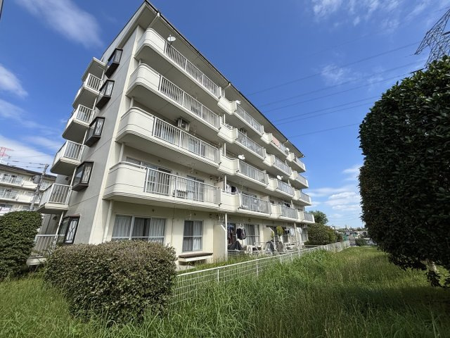 の-の画像