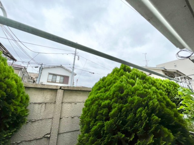 【展望】 | スターフラッツ