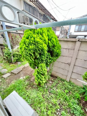 【その他】 | スターフラッツ