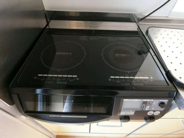 ジュネス・アニー　Aのキッチン|イメージ202号室の写真