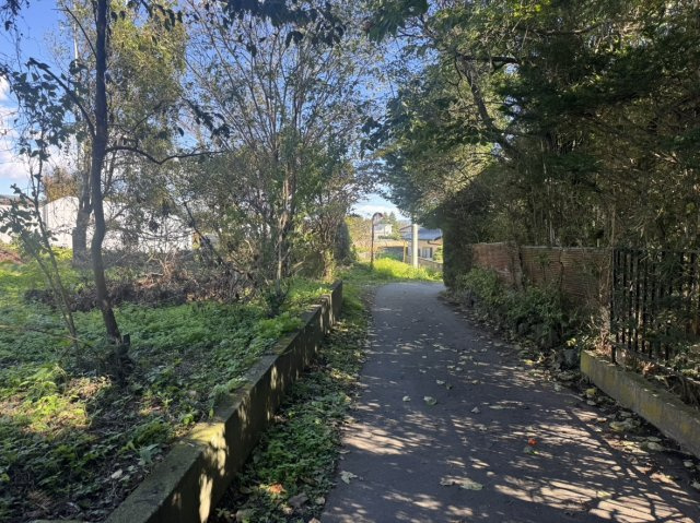 小諸売土地の前面道路含む現地写真