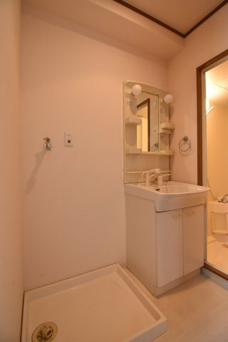 双輪建物第八コーポの洗面所