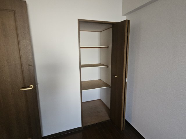 プラザハイツ二ツ屋D棟の収納