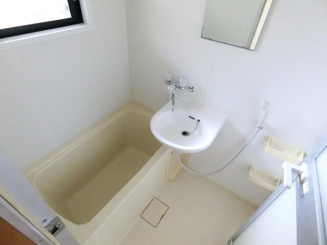 マーベラスハイムの浴室