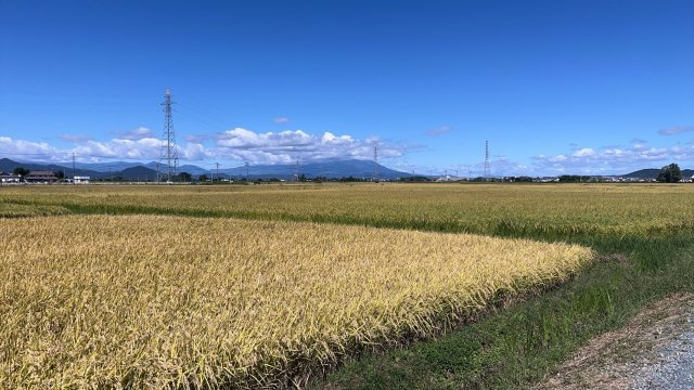 紫波郡矢巾町大字高田第１２地割の売地の展望