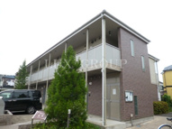 アムール山﨑の画像