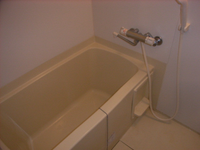 ヴェローナ亀戸LLHの浴室