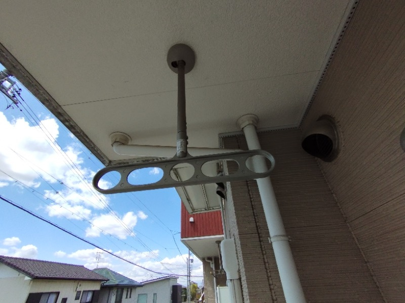 サンフラワーのその他