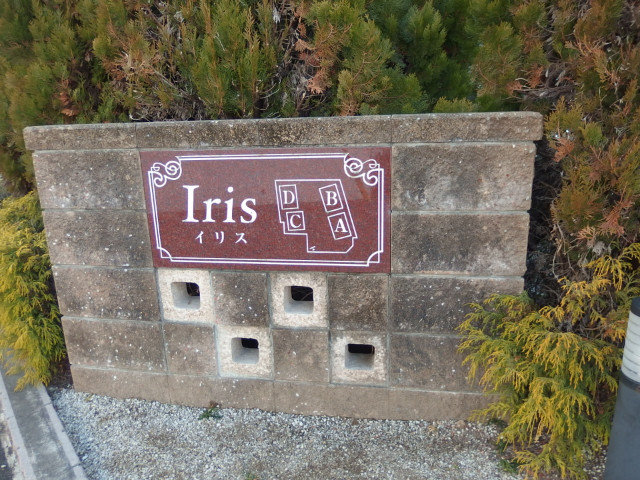 イリスＤのその他