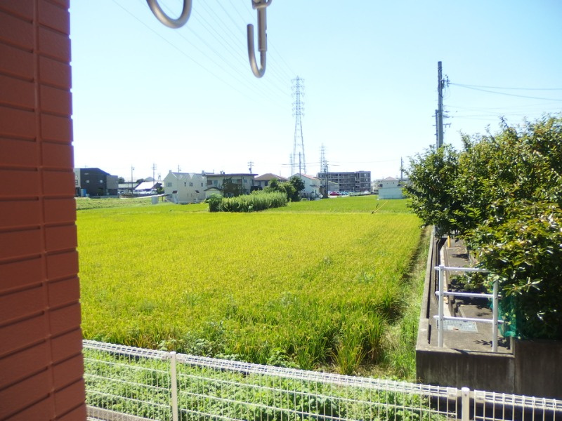 アレストスの展望