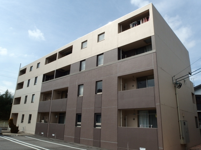 キーウィの外観