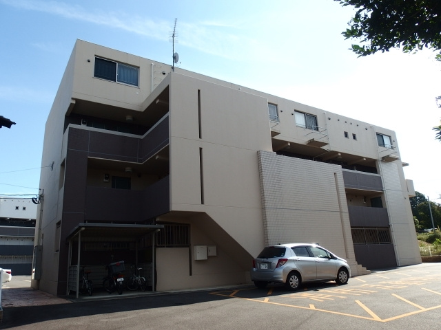 キーウィの外観