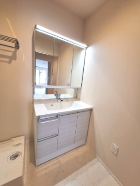 （シニア限定）グランビレッジ橋本のキッチン|シャワー付き独立洗面台