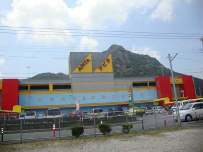 【周辺】 | ドリームハイツ・吉田 | アピタ大仁店（ショッピングセンター）まで200ｍ