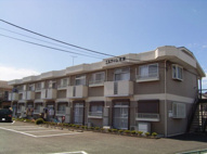 エルディム佐藤の画像