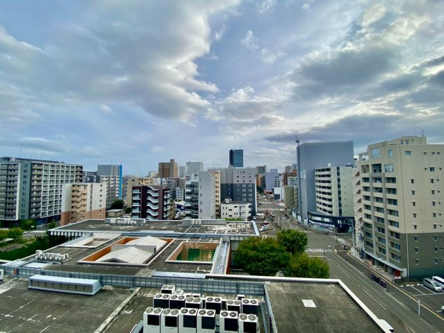 ライオンズマンション金剛院の展望