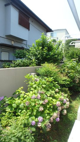 アーバンヒルズ向丘の展望