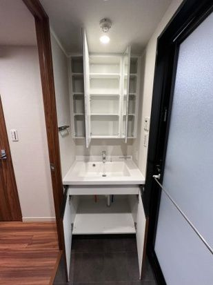 DIPS上野NORTHの独立洗面台