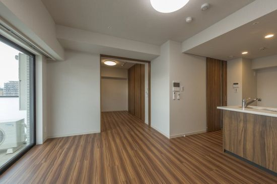 DIPS上野NORTHの居間・リビング