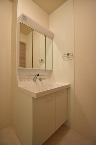 D-roomフォルチェの洗面所