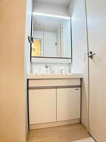 プラウディア今里の洗面所