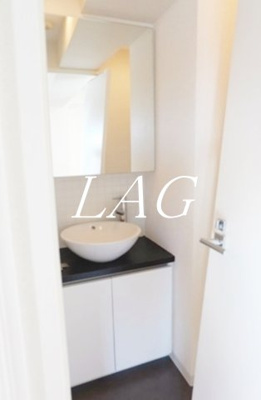 【洗面所】 | ブライズ東雪谷アジールコート | 独立洗面台です。