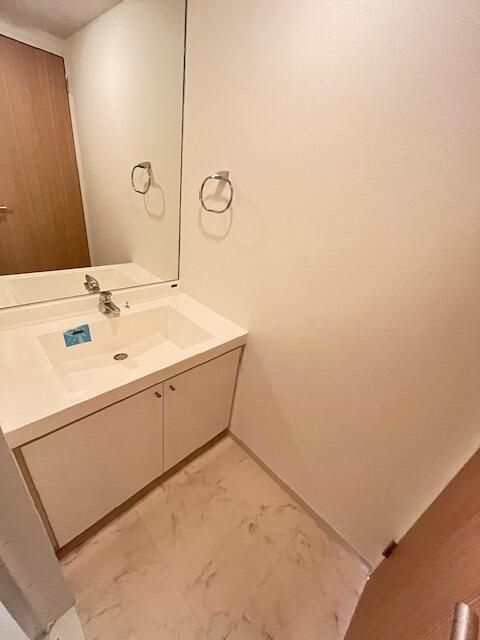 レジディア南千住の洗面所