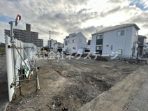 ブルー・コーラルの画像