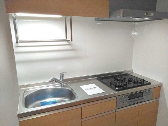 エコフォレストのキッチン