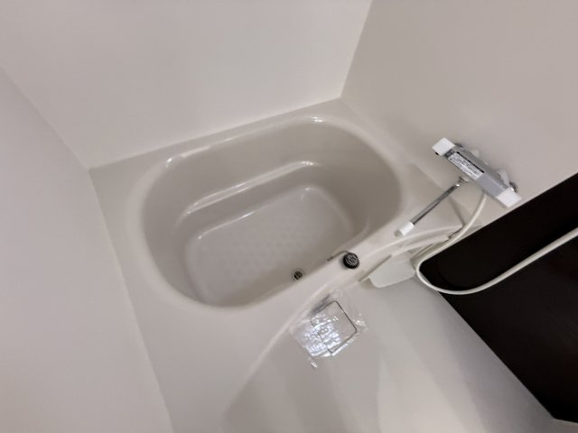 ヴァストネス東泉丘の浴室