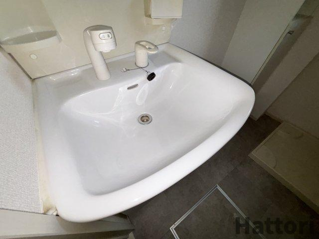 セレッソ　B棟の洗面所