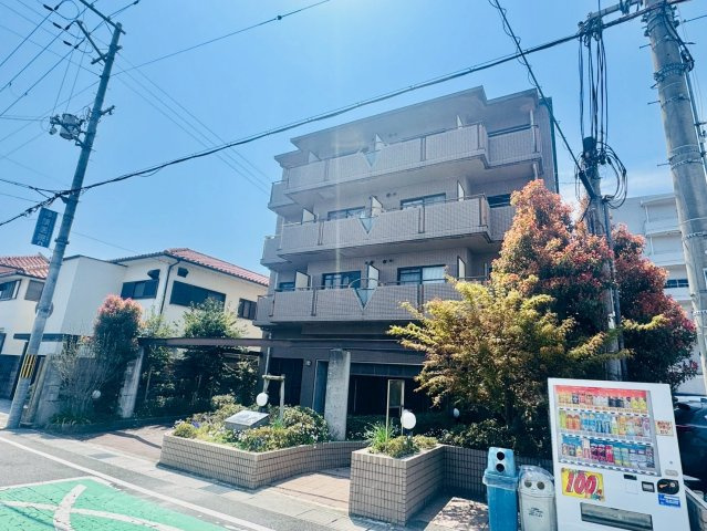 イスズベル八代