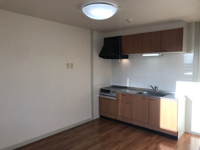ポラリスのその他