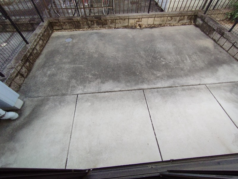 パルス六名の庭