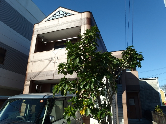 コンフォール恵の外観