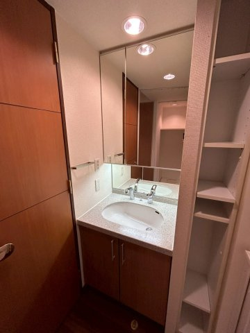 マスターズレジデンス道頓堀IIの洗面所