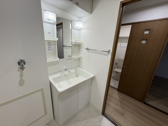 メゾン・ド・プラス豊中の独立洗面台