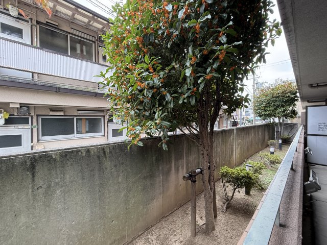 IHARAマンションの展望