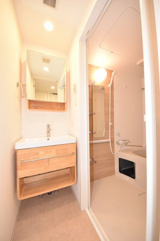 セレニテ日本橋プリエの洗面所