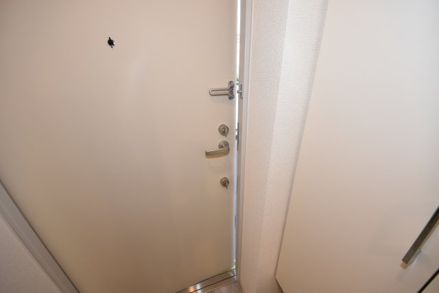 セレニテ日本橋プリエ