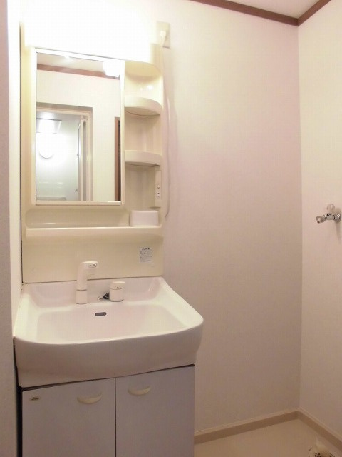 ジェントリー下条Ａ棟の洗面所|洗面所