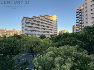 物件からの展望