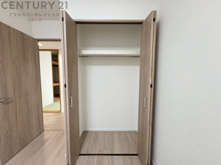 衣類やアクセサリー、小物類の収納が便利で整理整頓がしやすく、部屋の美観を保ちつつ、スペースを最大限に活用できます。衣服のしわやダメージを防ぎ、長持ちさせることができます。