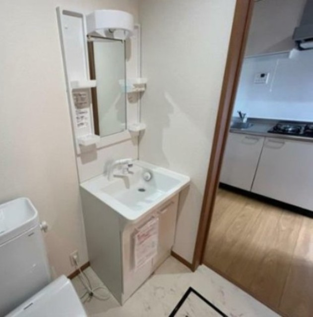 ＩＴハウスの洗面所