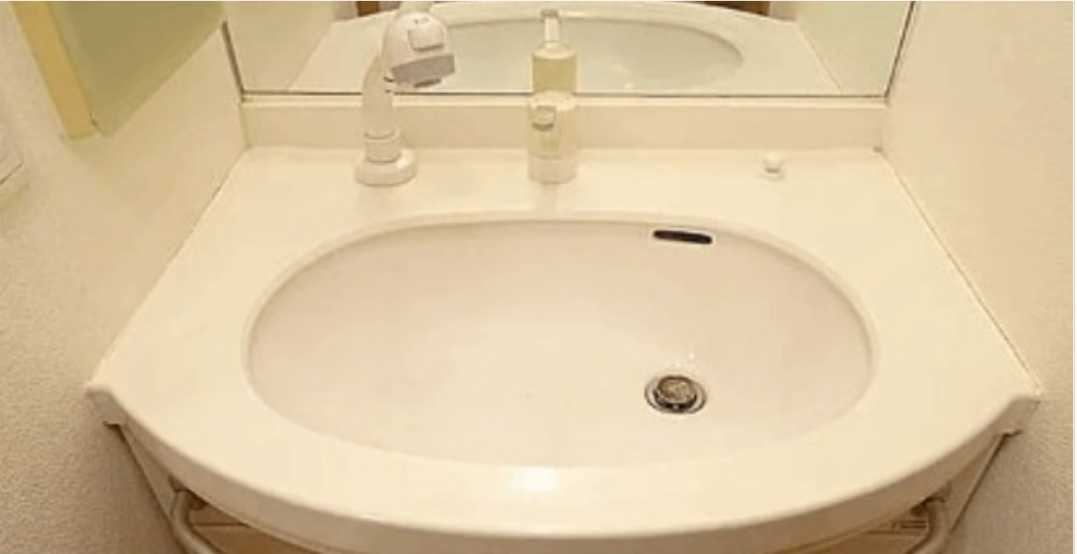 ワールドパレス学芸大学　礼金０　分譲賃貸　テラスの洗面所