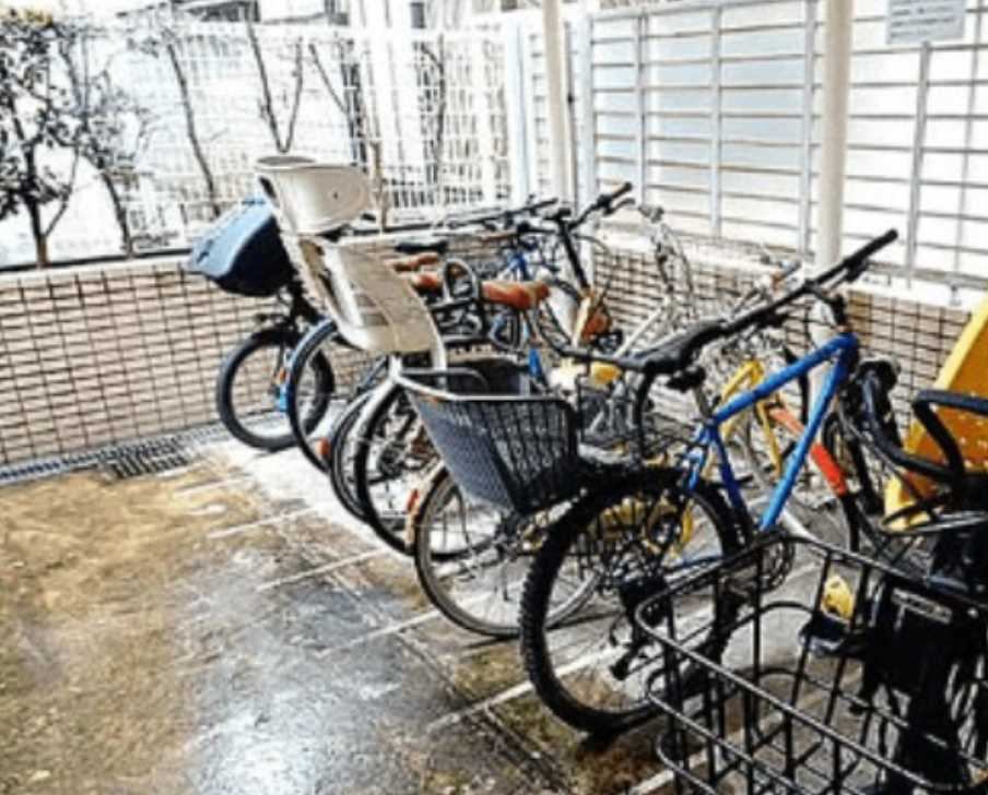 ワールドパレス学芸大学　礼金０　分譲賃貸　テラスのその他共用部分