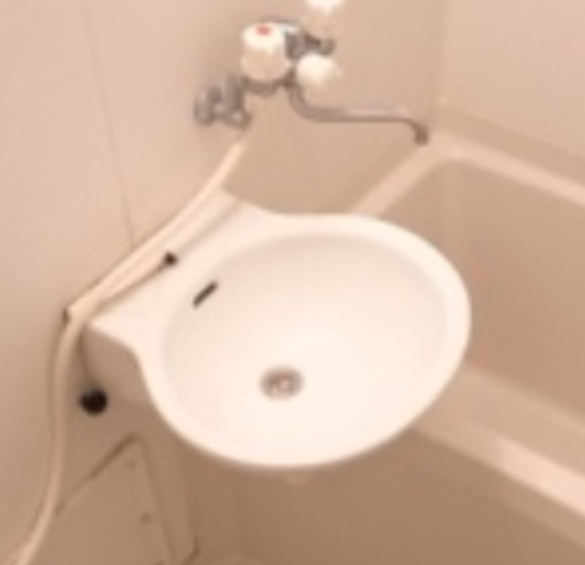 フェリオ柏の洗面所